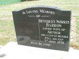 image of grave number 285459
